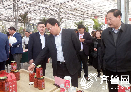 省市领导、专家组一行对参展草莓产品进行了解