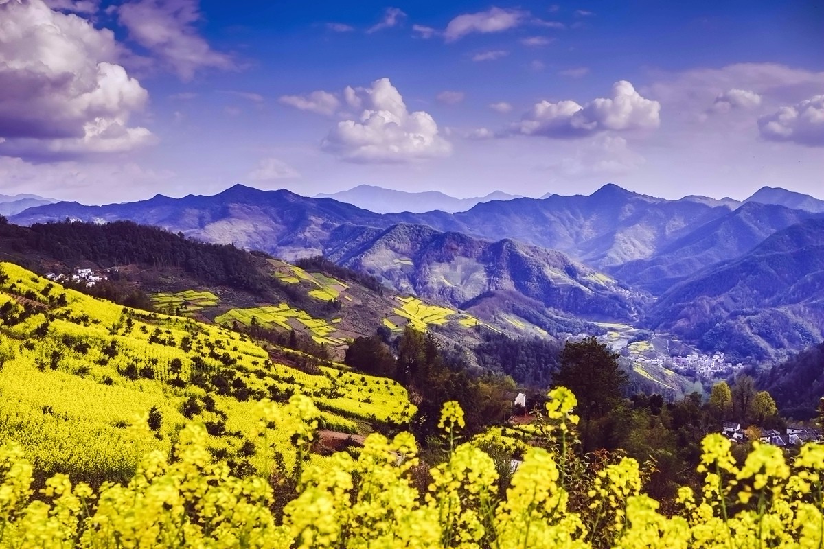 【杆言杆摄】风从徽州来 柿木汰 淡淡的乡愁记忆_图1-8