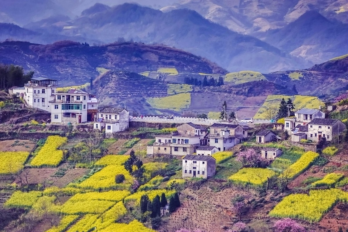 【杆言杆摄】风从徽州来 柿木汰 淡淡的乡愁记忆_图1-9