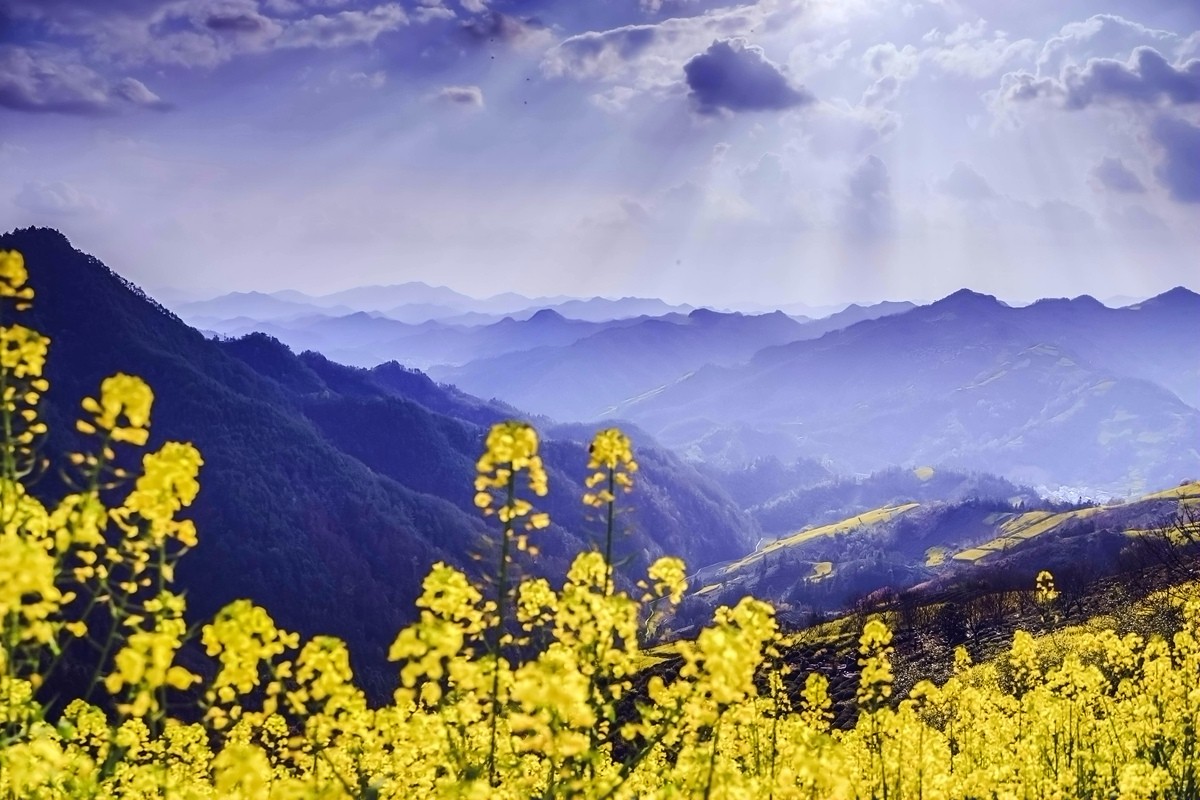 【杆言杆摄】风从徽州来 柿木汰 淡淡的乡愁记忆_图1-10